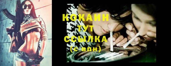 сатива Нягань