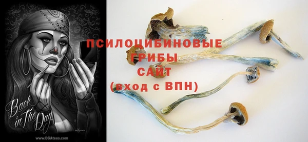 индика Нязепетровск