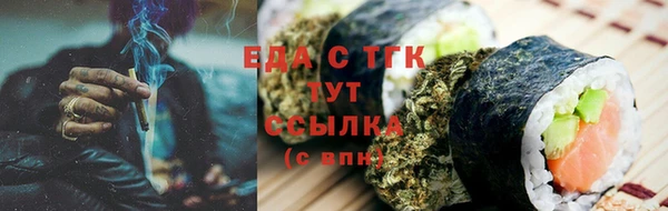 индика Нязепетровск