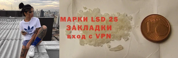 сатива Нягань