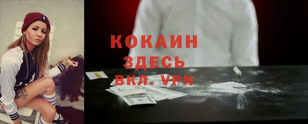 сатива Нягань