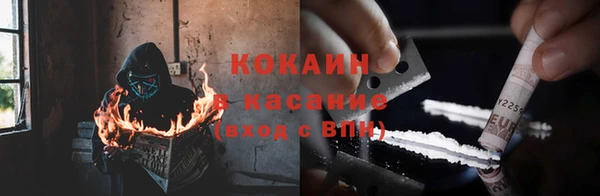 сатива Нягань