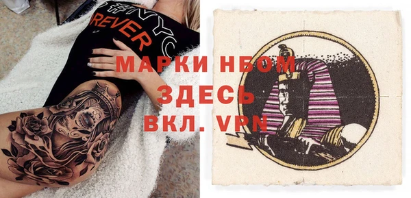 индика Нязепетровск