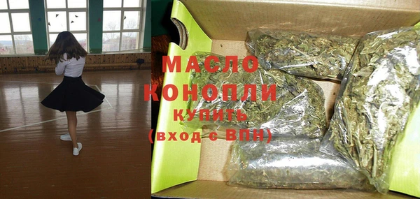 индика Нязепетровск