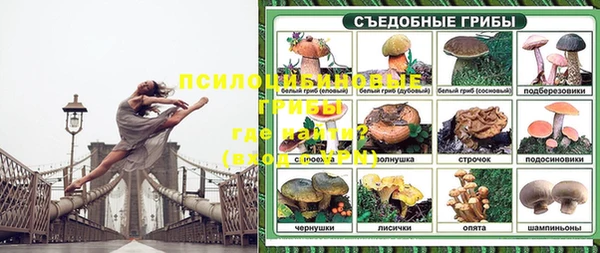 mix Няндома