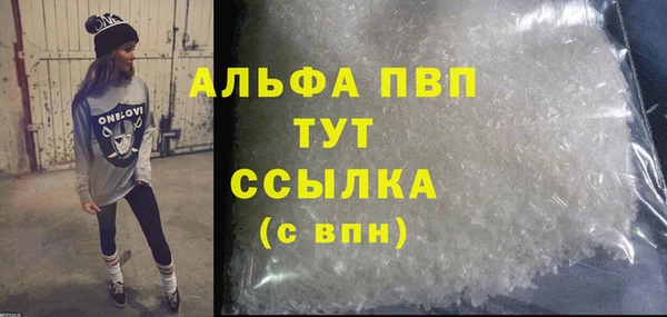 индика Нязепетровск