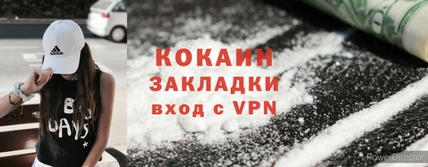 индика Нязепетровск